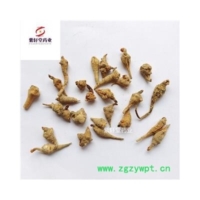 三七 三七芽 水洗三七芽 产地云南省 实物拍摄 免费打粉