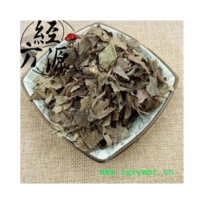 矮地茶C地茶 紫金牛 平地木 老勿大不出林 统 产地 湖南省