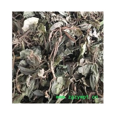 中药材矮地茶 品种齐全 产地河北 安国中药材批发零售大全