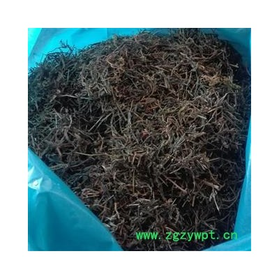 白花蛇舌草,白花蛇草,野生, 质量正品 产地 广西壮族自治区