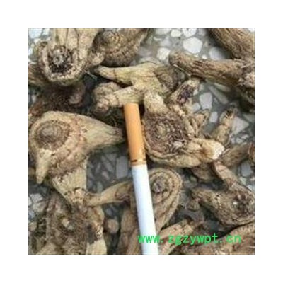 白及 三叉白芨大选个 产地直销 新店开张 促销中  产地 贵州省