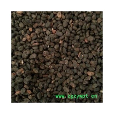 补骨脂 万信药业！过风货 地道药材 饱满选货   产地 广西壮族自治区