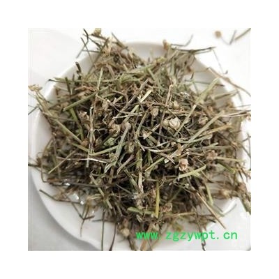 白花舌草 白花蛇草家种统货 产地 河南省