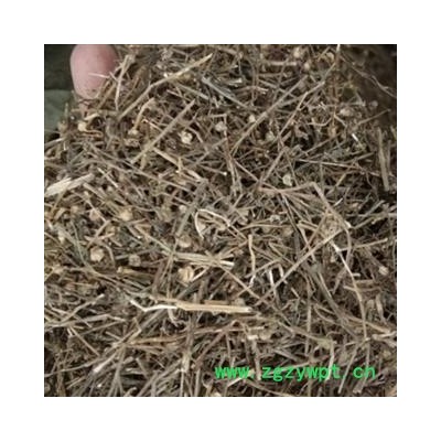 白花蛇舌草 白花蛇舌草统段 产地 河南省 中草药白花蛇草