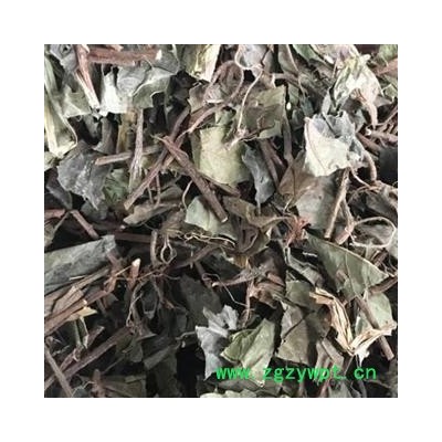 中药材矮地茶吸尘切货 统货 湖北矮地茶 安国市聚益中药材批发零售大全