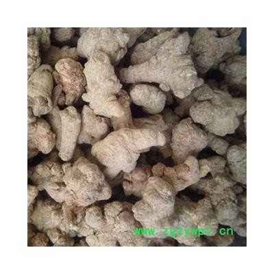 三七 60头 好统 产地 云南省文山壮族苗族自治州文山县 库存 200公斤可售