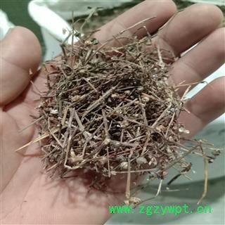 白花蛇舌草 白花蛇草，优质， 产地 河南省周口市沈丘县