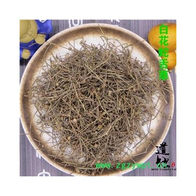 白花蛇舌草 统货 产地 四川省