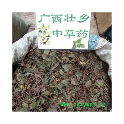 广西壮乡中草药 野生 矮地茶 平地木 不出林 叶底珠 叶下红 产地 广西柳州