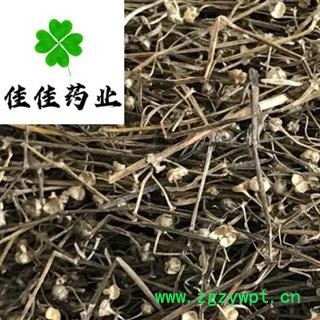 白花蛇舌草 白花蛇草 统 供应大货 产地 河南省