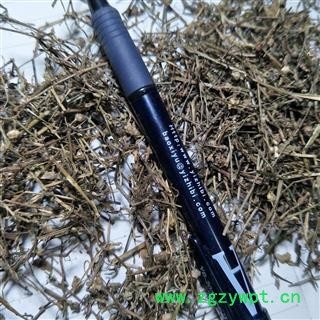 白花蛇舌草 白花蛇舌草野生统段 产地 江西省