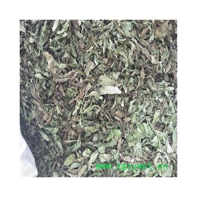 薄荷 优质薄荷 产地 安徽省淮北市相山区