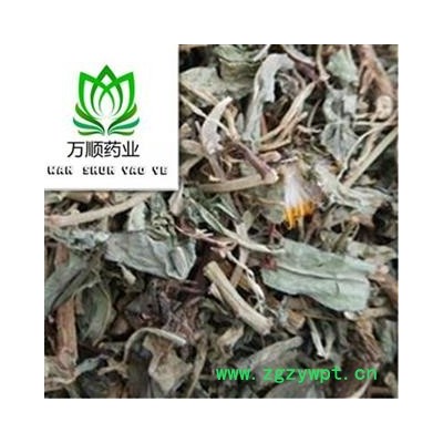 精品选装净货败酱草 质量好 价格低  产地 山东省