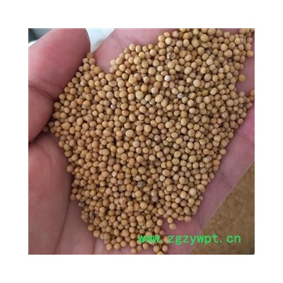 白芥子 纯净货 正品假一赔十 新店上线 规格齐全 价格低廉 产地 四川省