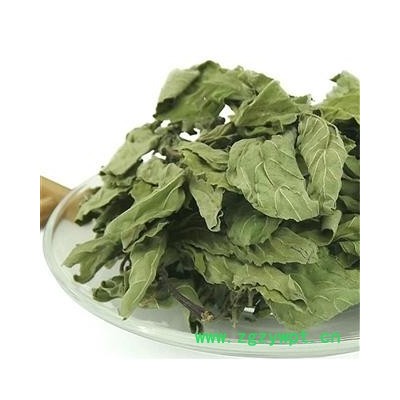 薄荷 统货 产地 四川省成都市