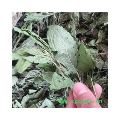 安祁名药优质花茶 薄荷叶  真实拍照 手选新货