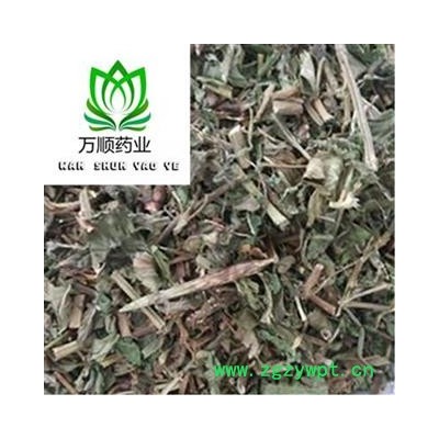 选装新货薄荷段 质量好 价格低  产地直销 产地 山东省