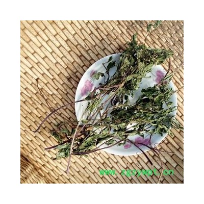 野薄荷 精选 产地 河南省平顶山市汝州市