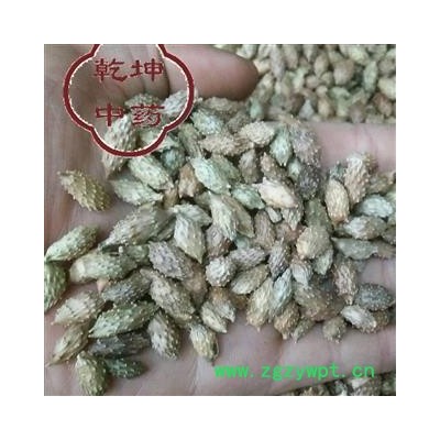 苍耳子 选货 产地 四川省【诚信经营 品种齐全】