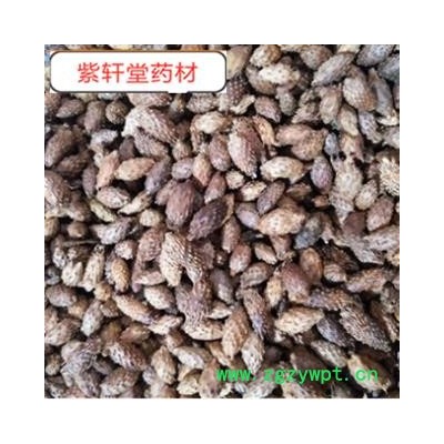 苍耳子 炒苍耳子 选货 地道药材  产地直销 产地 内蒙古自治区