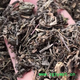 筋骨草 中药材筋骨草统段 产地 河北省安国市场批发零售大全