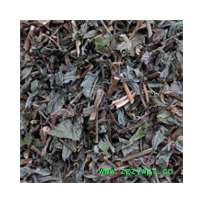 败酱草 统 产地 山东省