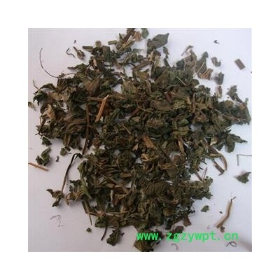 薄荷 全株薄荷  产地 河南省 凯捷中药