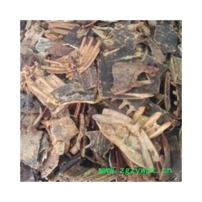 制鳖甲 醋鳖甲统货 买货认准福康万家 质量有保证  产地 山东省