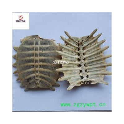 鳖甲 生鳖甲  没有杂质 去肉干净 好货 紫轩堂药业