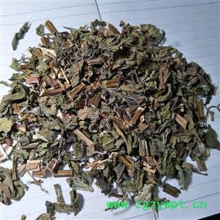 薄荷 薄荷褐色统段 产地 山东省