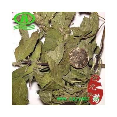 世元药业 薄荷叶 新货 香味浓郁 清香 调味 统货叶