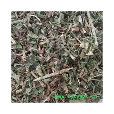 薄荷 薄荷选段大货 产地 山东省菏泽市鄄城县舜王城药市