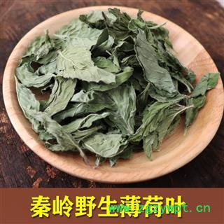 薄荷叶绿薄荷茶新鲜干薄荷叶干净无枝食用薄荷叶提神泡野生薄荷茶1000克