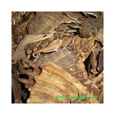 鳖甲 炒鳖甲净货 药方 产地 山东省