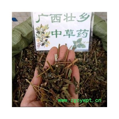 广西壮乡中草药 野生 黄花 败酱草 产地 广西柳州