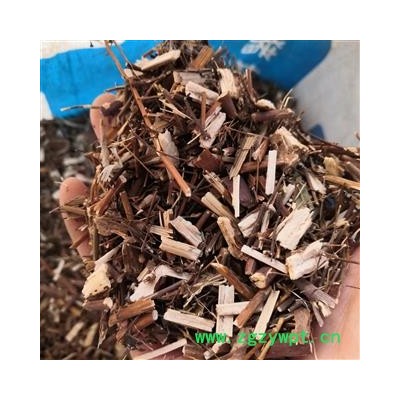 新辉药业蓍草 蜈蚣草 飞天蜈蚣 乱头发 土一支蒿 羽衣草