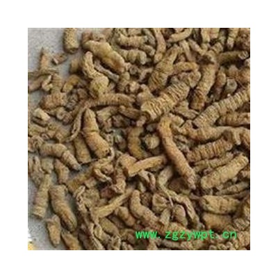 小丽百草行无硫 巴戟肉好统 产地 广西