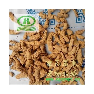 世元药业 巴戟肉 正品 巴戟天 去芯