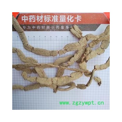 巴戟天巴戟条巴戟肉二级个子产地广东省肇庆市高要市