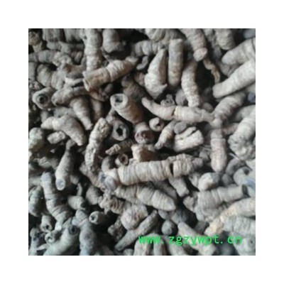 巴戟天 统【另有制巴戟天出售 】产地 广东省肇庆市广宁县