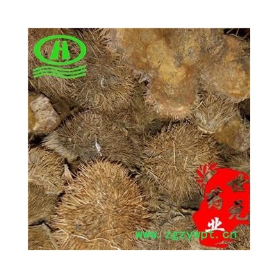 世元药业 栗子壳 正品 栗毛球 板栗皮 板栗外壳 优质