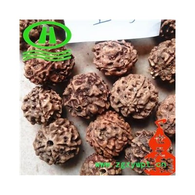 世元药业 金刚 金刚菩提子 正品 优质