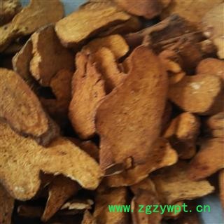 白术 河北炒白术  小选片 产地 河北省