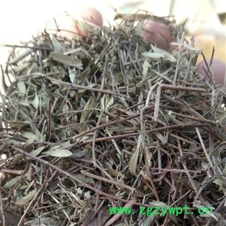 百里香 蚊子草  新货一手货源大货可供