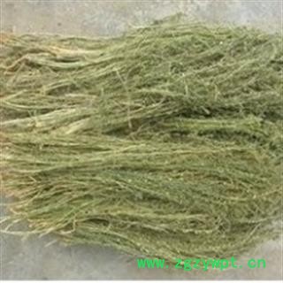 京辉药业 百蕊草 百乳草 小草 细须草 青龙草 正品 促销