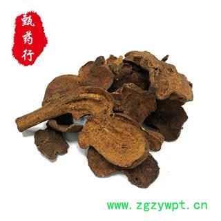 白术 炒白术发货川白术无硫统片 一手货源批发 产地四川 甄选药材行 为你真选好药材