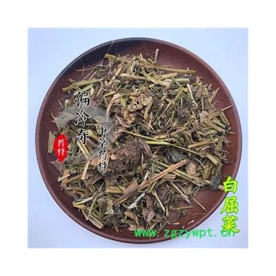 白屈菜 山黄连 牛金花 小野人血草 八步紧 大炮夜 野蔓