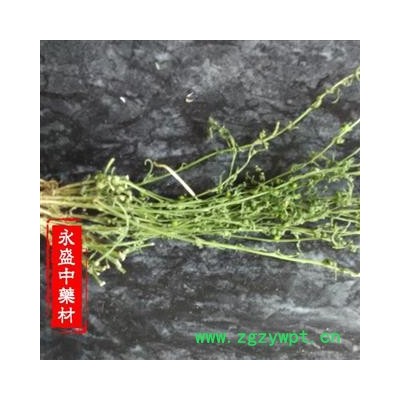 百蕊草 百蕊草统货 产地 河南省南阳市