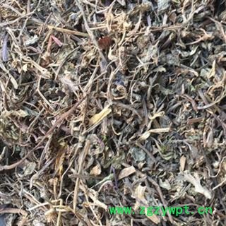白毛夏枯草 白毛夏枯草统货 产地 河南省