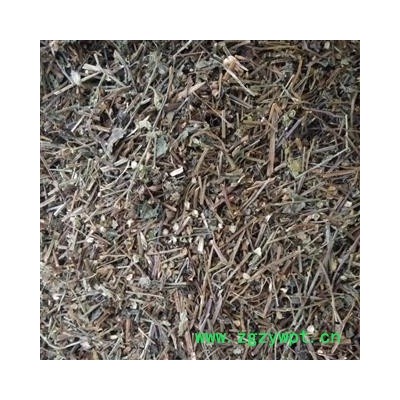 半枝莲 精品新货半枝莲  颜色好 无虫蛀 产地 山东省